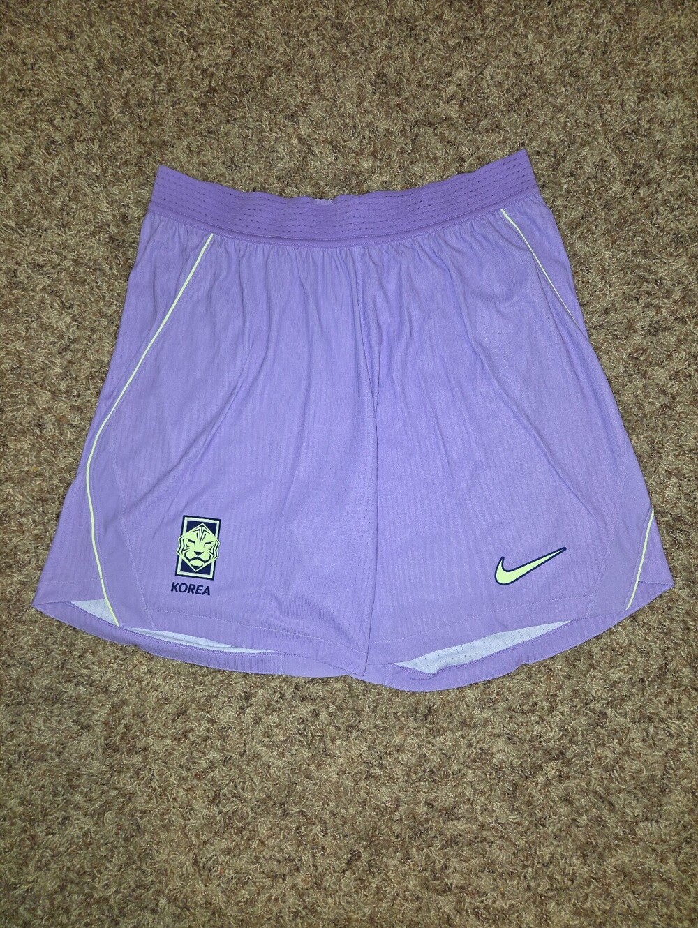 Nike Men’s South Korea National Team Dri-Fit ADV Soccer Short Sample